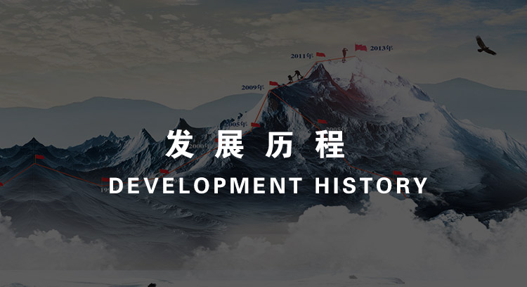发展历程