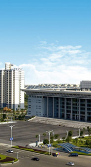 厂商/分销商